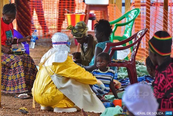 WHO warns of Ebola spread - ảnh 1